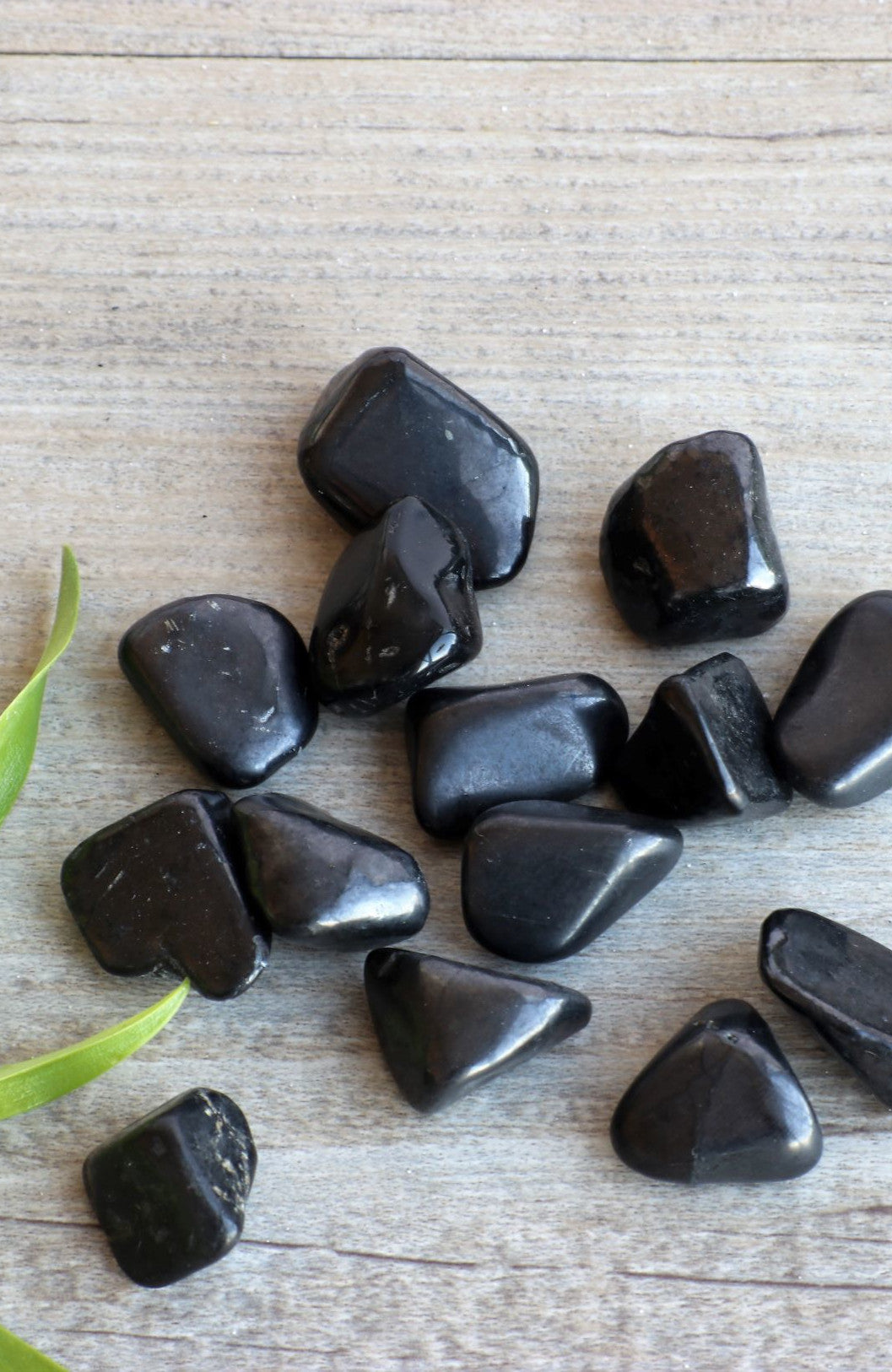 Shungite Tumbled Stone